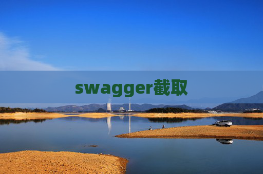 swagger截取
